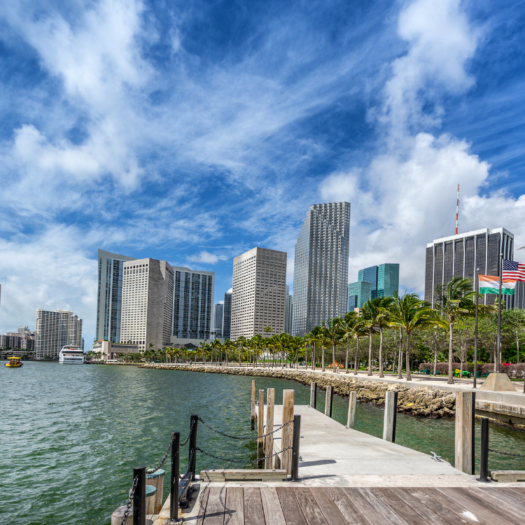 A waterfront view of downtown Palmetto, Florida, showing a wooden dock in the foreground, palm trees along the shore, and modern skyscrapers under a partly cloudy blue sky.